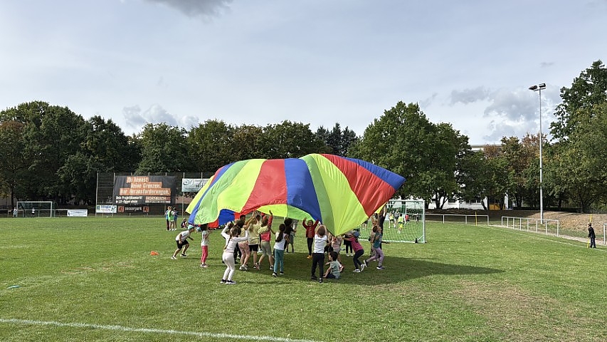 S. Schickedanz 9/2026